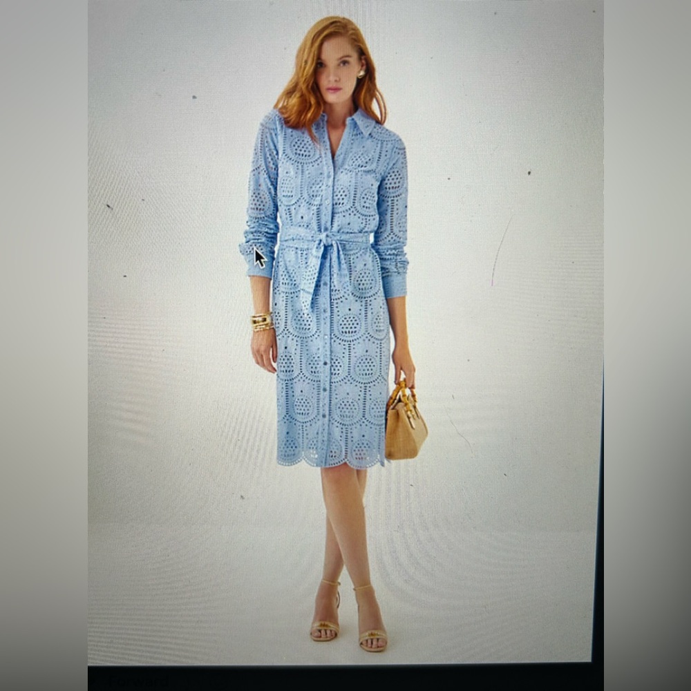 NWT Eira Midi Shirt Dress Size 6
